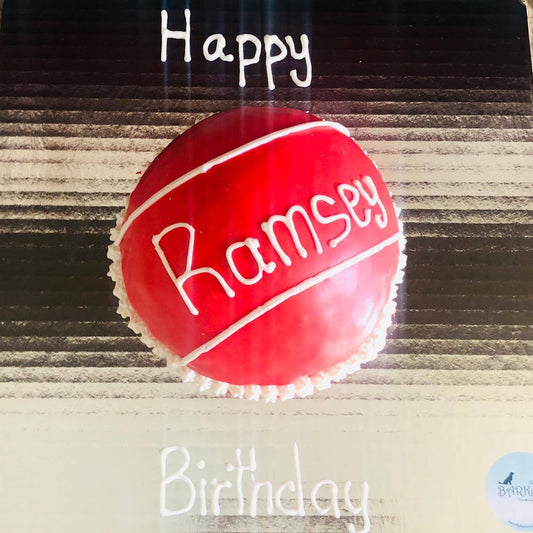 Custom Dog Cake | Dog Treats | Dog Bakery Dallas