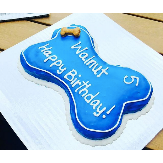 The Classic Bone | Dog Cake